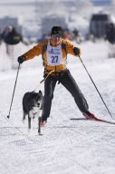 Lenk 2013
